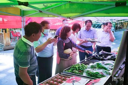 農業農村部調研組赴高新區新市區調研農產品質量安全工作